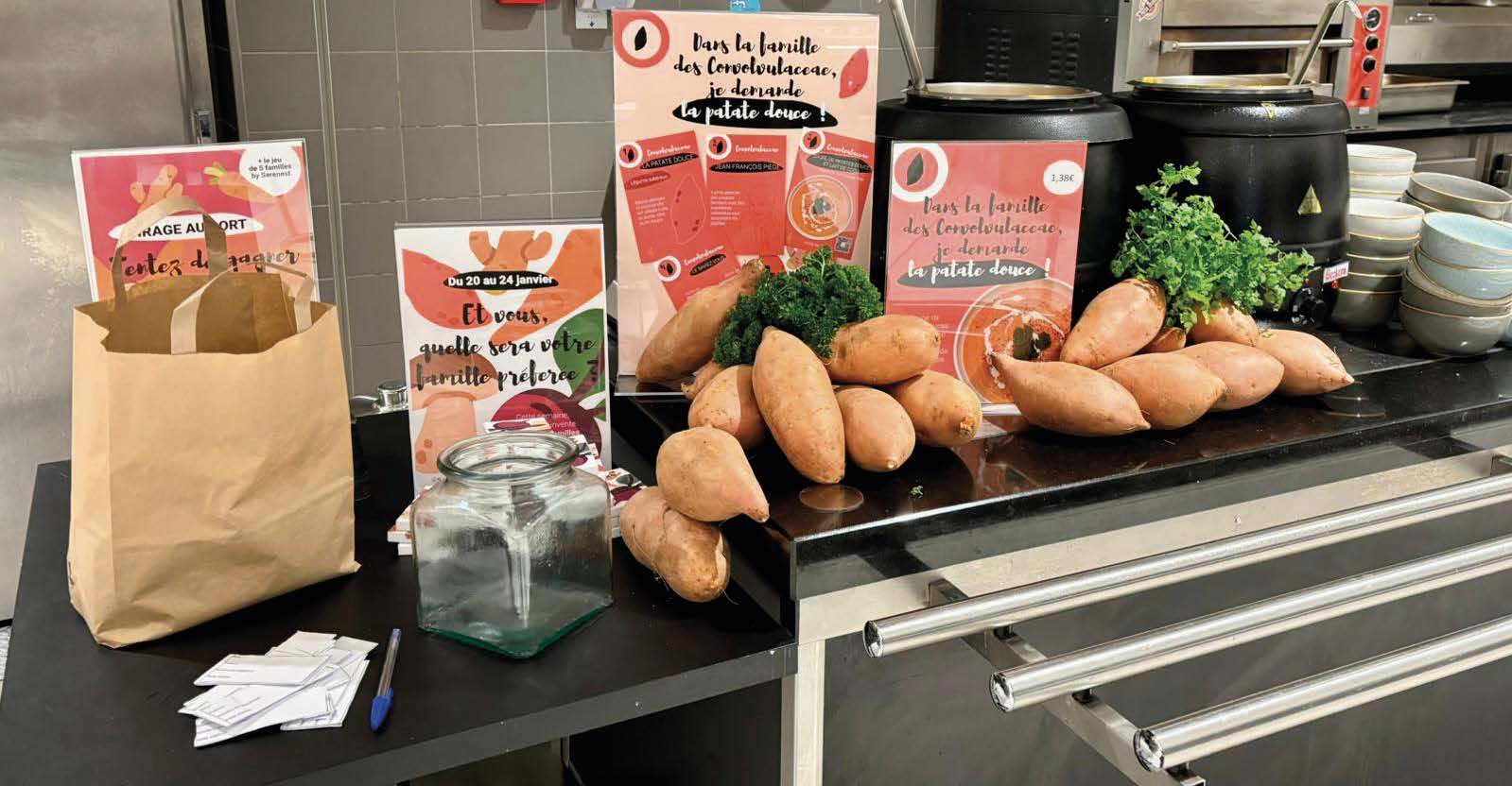 Développer la créativité pour dynamiser l’offre chez Serenest