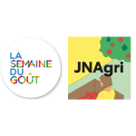 Une Leçon de Goût aux Arènes de Lutèce