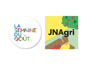 Une Leçon de Goût aux Arènes de Lutèce