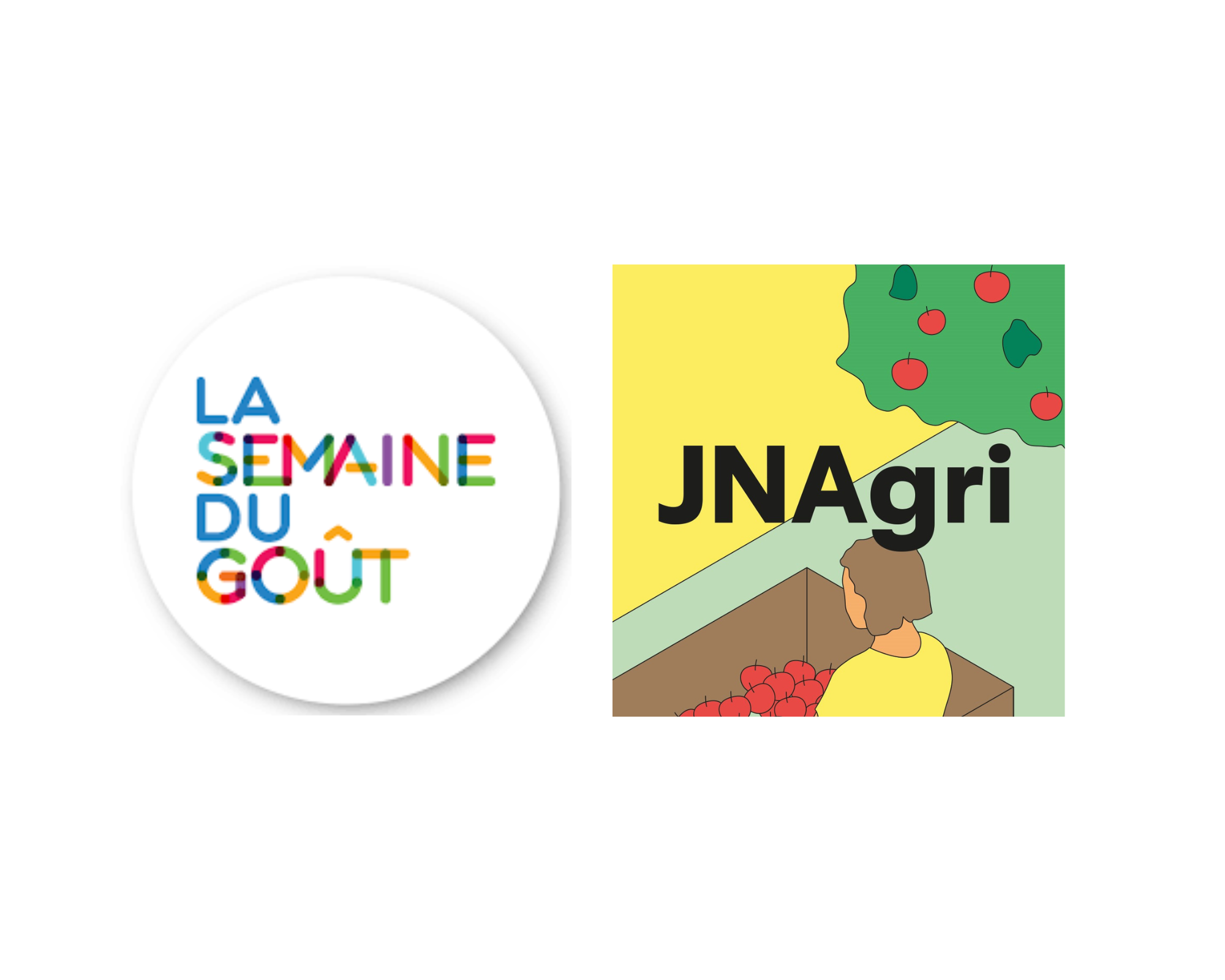 Une Leçon de Goût aux Arènes de Lutèce