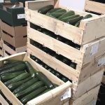 Des repas bio, frais et locaux pour les crèches avec Croc La Vie