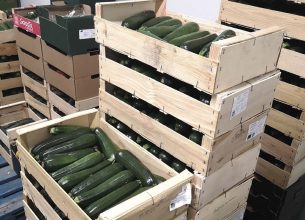 Des repas bio, frais et locaux pour les crèches avec Croc La Vie