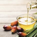 Matières grasses : Quelles spécificités et alternatives ?