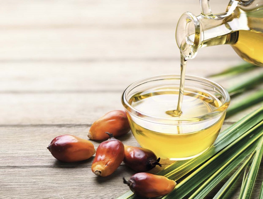 Matières grasses : Quelles spécificités et alternatives ?