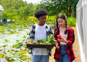 Des États Généraux pour une nécessaire éducation à l’alimentation