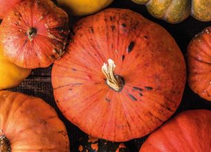 La courge par Christian Ambard