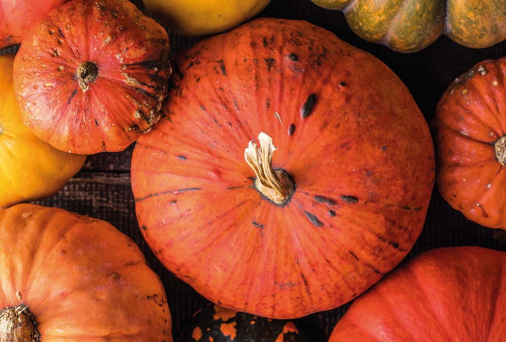 La courge par Christian Ambard