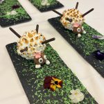 En route pour la finale nationale du concours Un pour tous, tous pour un !