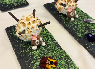 En route pour la finale nationale du concours Un pour tous, tous pour un !