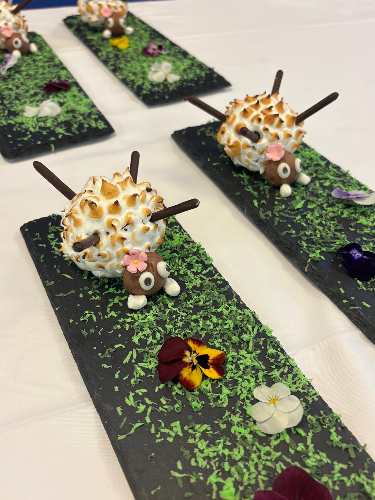 En route pour la finale nationale du concours Un pour tous, tous pour un !