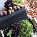 Antigaspi : Le Crous Clermont Auvergne sur la bonne voie