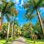 Mon Restau Responsable se déploie aux Antilles et en Guyane