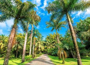 Mon Restau Responsable se déploie aux Antilles et en Guyane