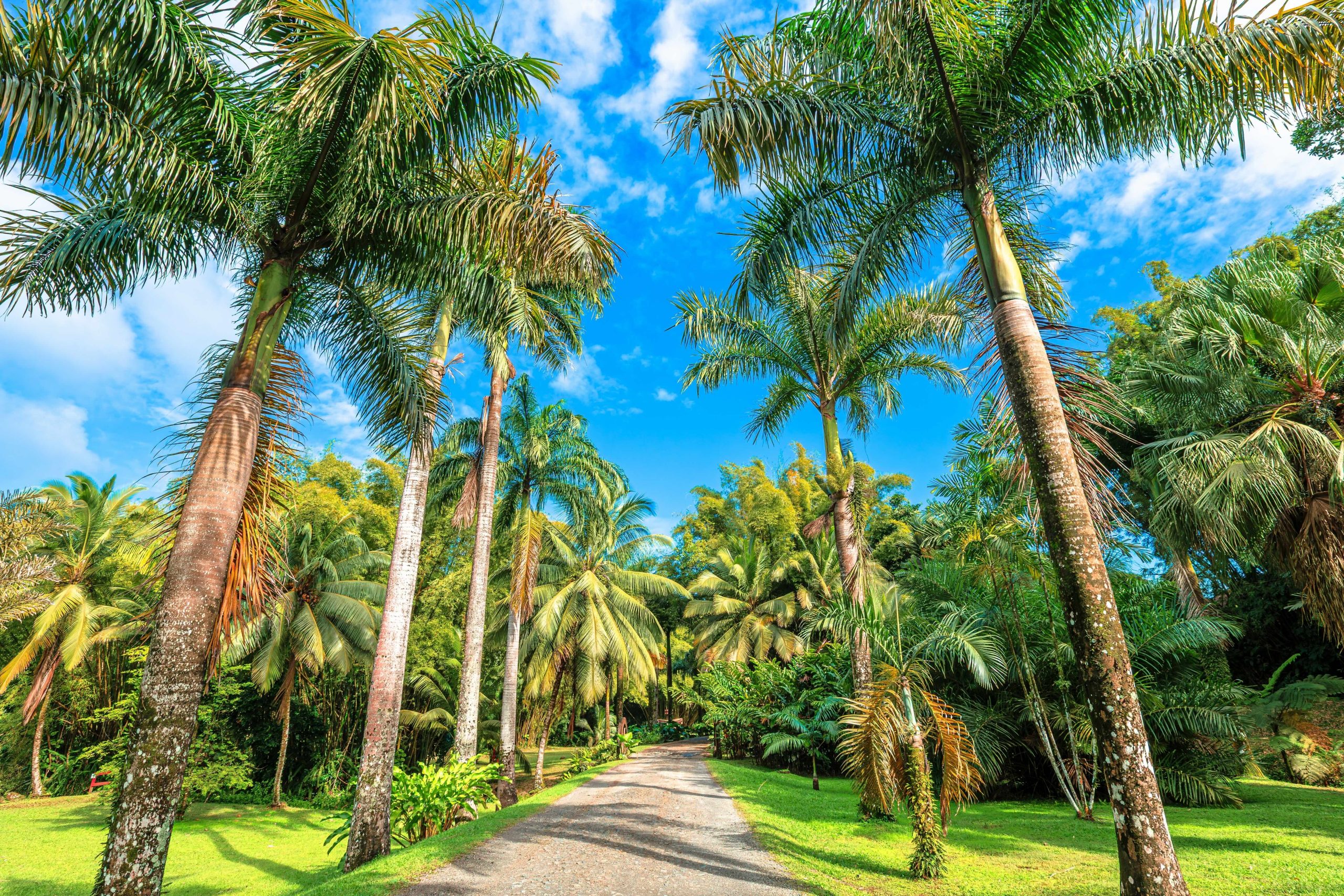 Mon Restau Responsable se déploie aux Antilles et en Guyane