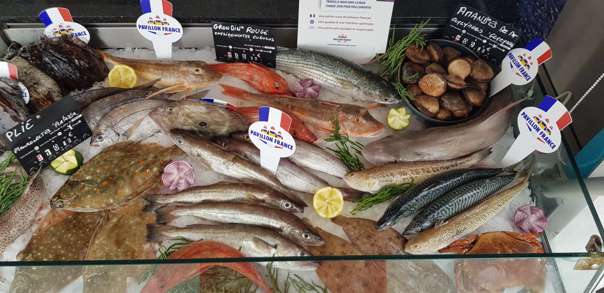 Le 20e arrondissement met la pêche française à l’honneur