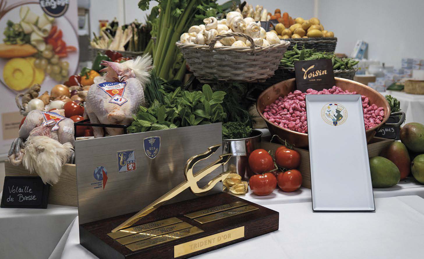 Pleins feux : Concours Le Trident d’Or