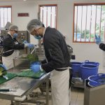 Cuisines centrales : Caluire sur un rythme de croisière