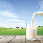 Faut-il vraiment supprimer le lait de notre alimentation ?