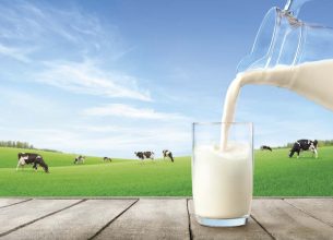 Faut-il vraiment supprimer le lait de notre alimentation ?
