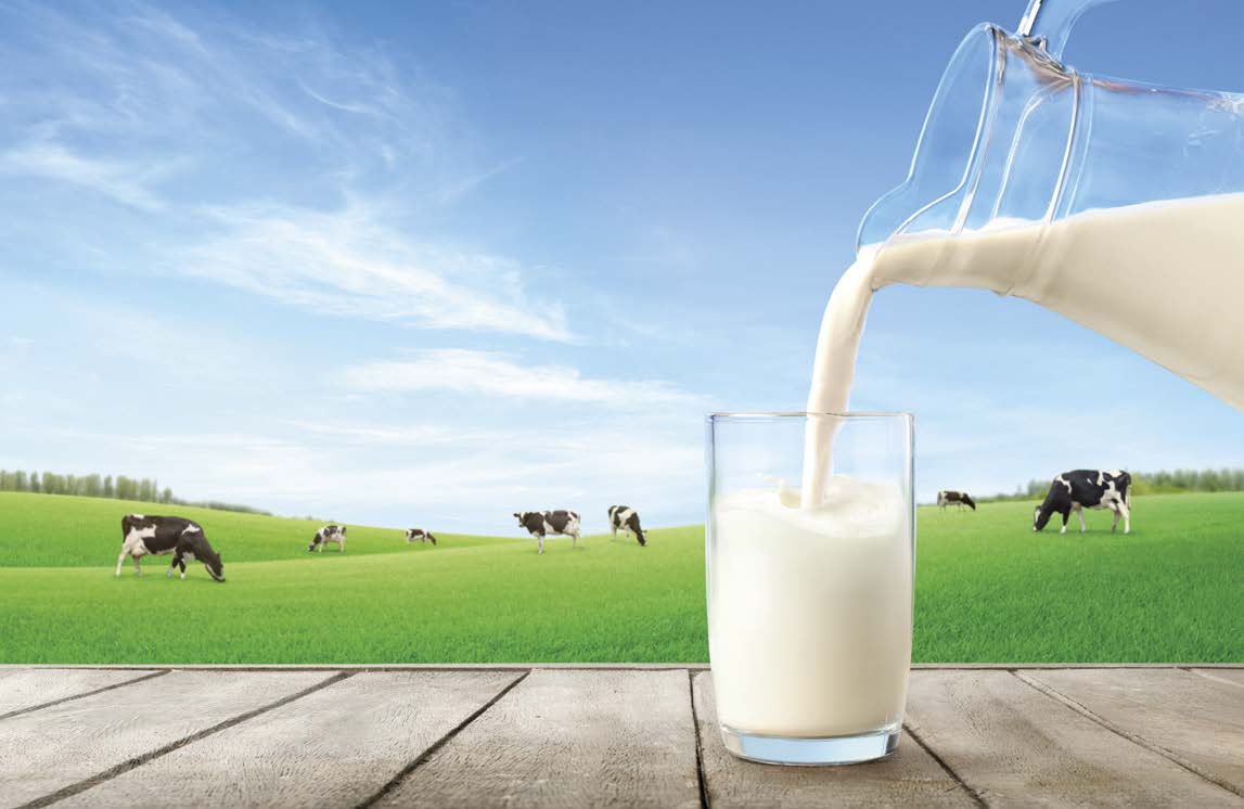 Faut-il vraiment supprimer le lait de notre alimentation ?