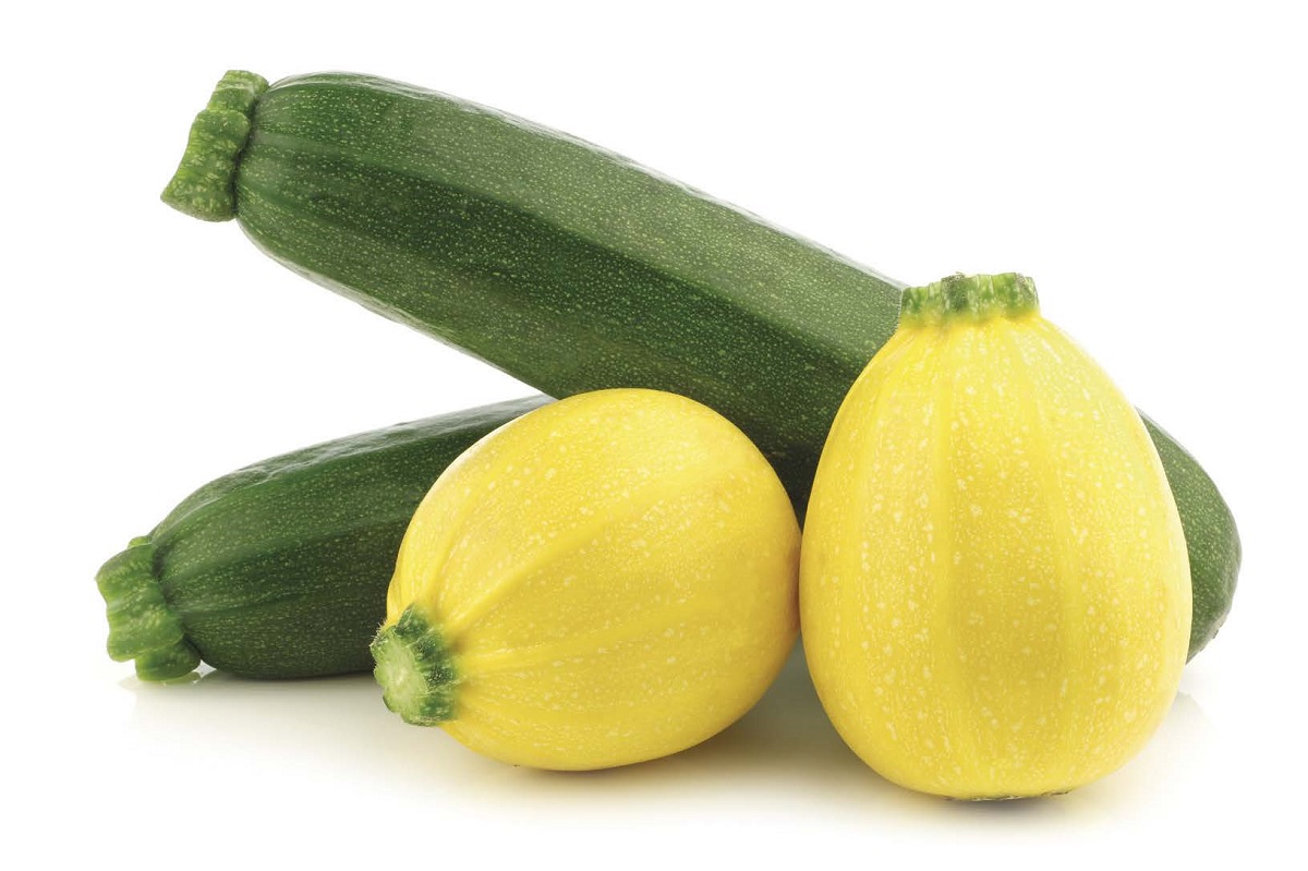 La courgette, par Sébastien Mahuet
