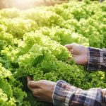 Salon Restau’Co 2026 : souveraineté alimentaire, éducation et fait maison au cœur des débats