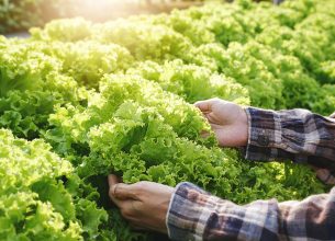 Salon Restau’Co 2026 : souveraineté alimentaire, éducation et fait maison au cœur des débats