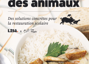 Un livret de 31 recettes végétales pour les cantines scolaires