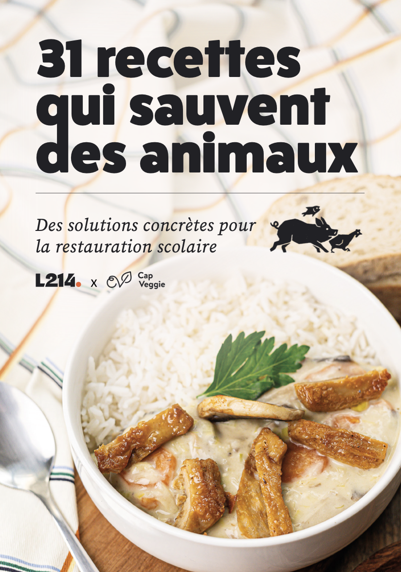 Un livret de 31 recettes végétales pour les cantines scolaires