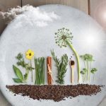 Une palette de saveurs à bien doser