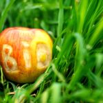 La Coopérative Bio Île-de-France rejoint le Réseau Manger Bio