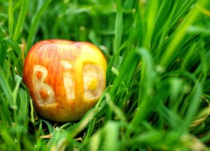 La Coopérative Bio Île-de-France rejoint le Réseau Manger Bio